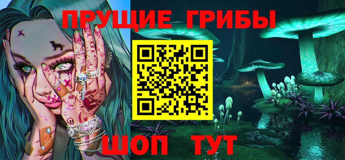 Псилоцибиновые грибы Cubensis Нижнеудинск